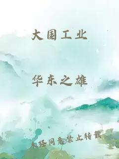 大國工業(yè)