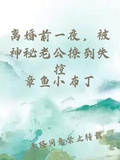 離婚前一夜，被神秘老公撩到失控