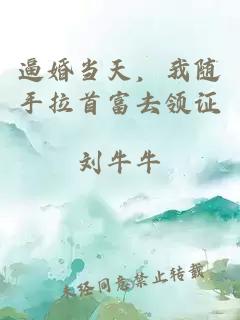 逼婚當天，我隨手拉首富去領(lǐng)證